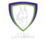 Canil Lothbrok